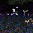 Thumb 60cdd7993ffd6966c6792627