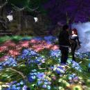 Thumb 60cef07e75c791016f02578a