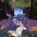 Thumb 60d28b8e3ffd69425e792627