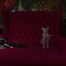 Thumb 61ce834792c9a22bc572178b