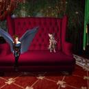 Thumb 61ce843e0a7086686a59ed26