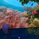 Thumb 61f769563d02e771fbc9a184