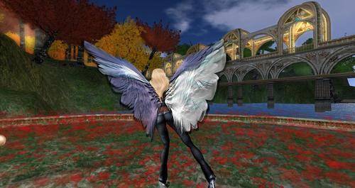 Web 6075b16581843514cb713b7d