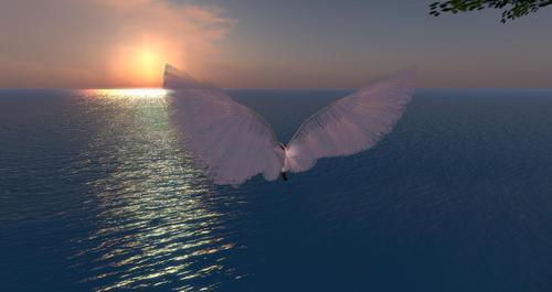 Web 60c0b1bd242f9f1021755e4c