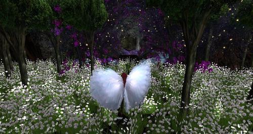 Web 60cdd1513b84a20571468ff8