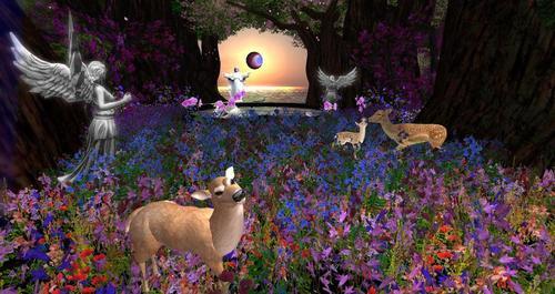 Web 60cdd6c26213e53b29a7d512