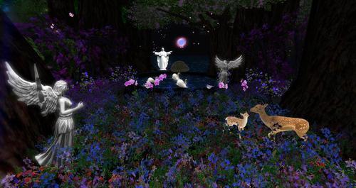 Web 60cdd7993ffd6966c6792627