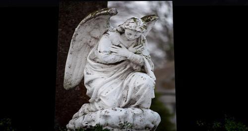 Web 60cf163a3119c022cc81b568