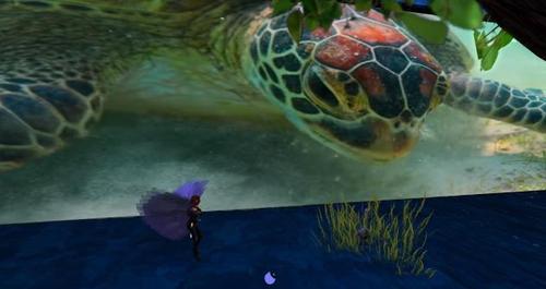 Web 61f7693d3d02e770c1c9a184