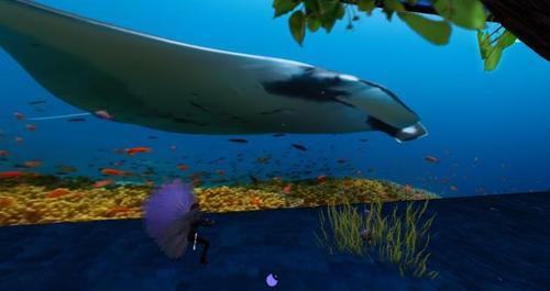 Web 61f769650b0fd64ee551e0aa