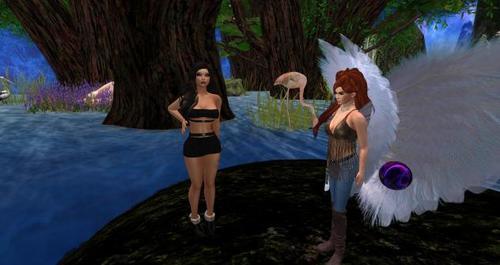 Web 61fb6bacd9b37161df39dc9d