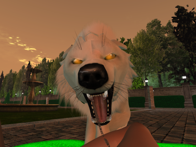 Original 65408baeddef4c23074b7d39