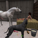 Thumb 636b3f6054b3ae099a25d906