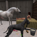 Thumb 636b3f8a311f6f750e1ec6ab