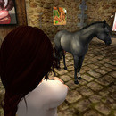 Thumb 6371d82292bc555e3a77819e