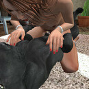 Thumb 6528ca056915163643ef3d41