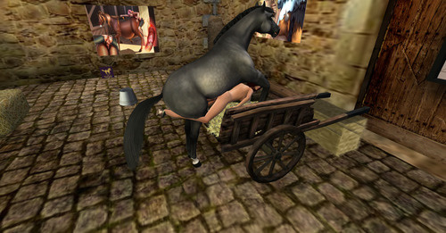 Web 6371dbb1dbcf7d59acb70e46