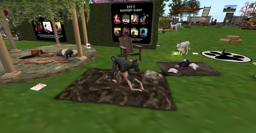 Web 63898e7a06b93172417aa589