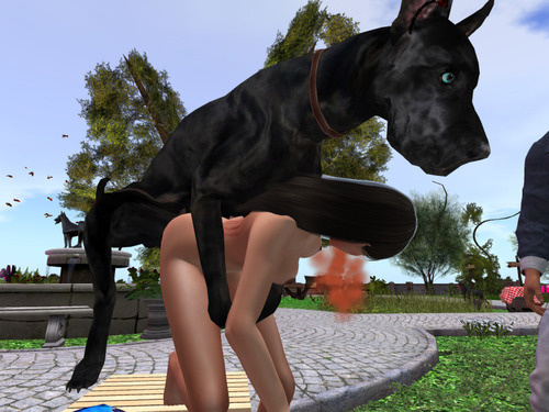 Web 65603810cfa07d3e1d6ec917