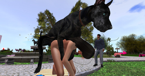 Web 6560381b5ca51940cb172fe3