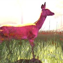 Thumb 51608654748f8a6ee2000001