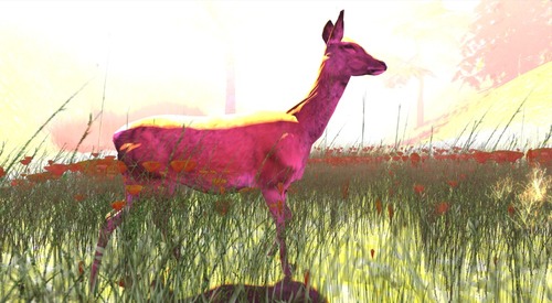 Web 51608654748f8a6ee2000001