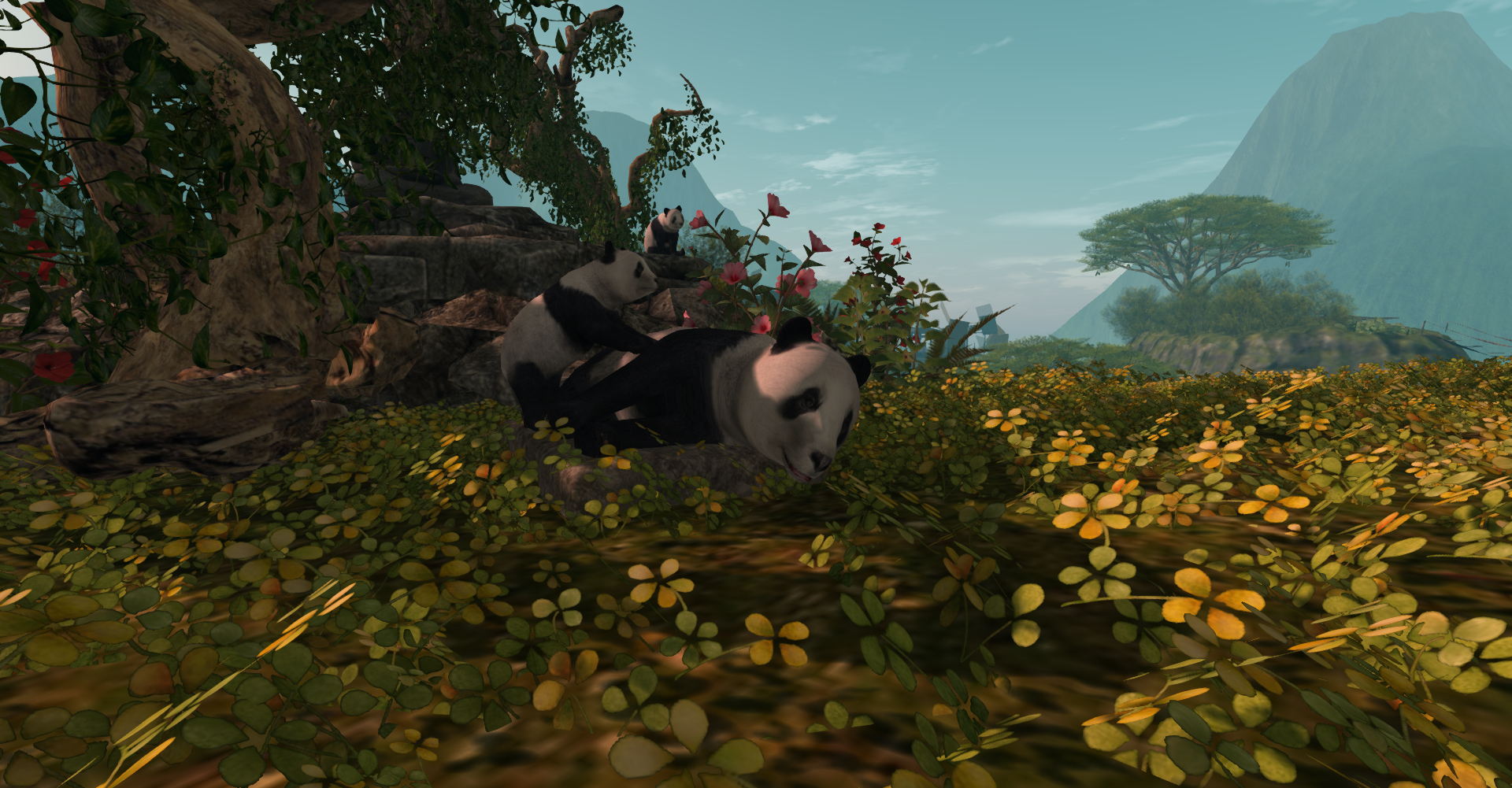 Original 62401b2beb58b32a06623cb4