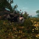 Thumb 62401b2beb58b32a06623cb4