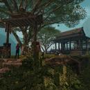 Thumb 62401cebeb58b334bd623cb4