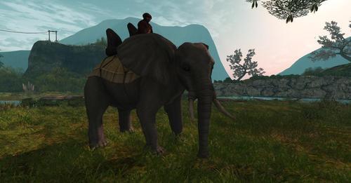 Web 62401c19eb58b32fba623cb4