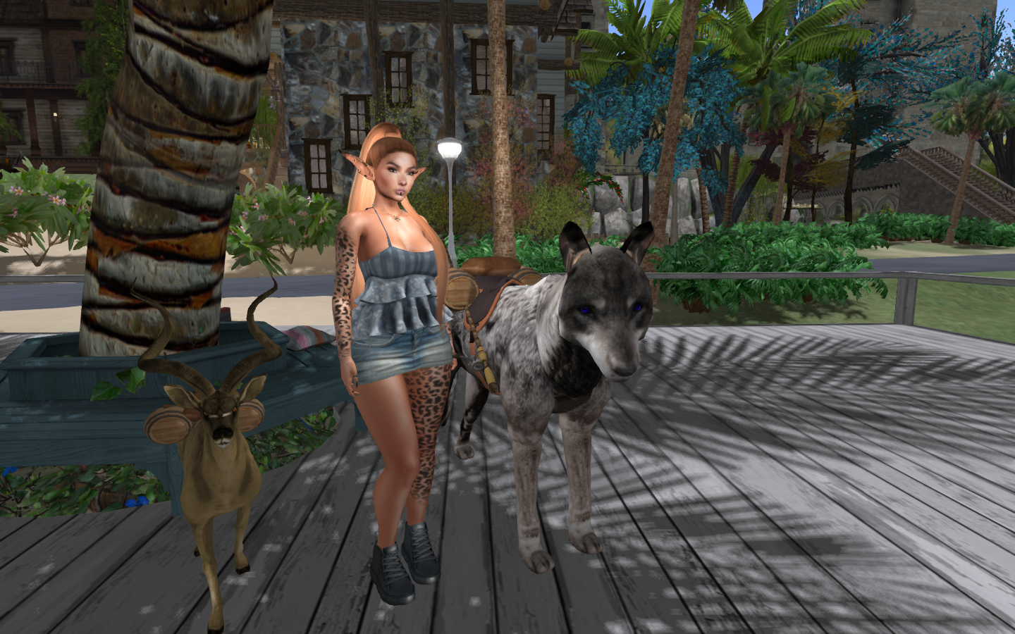 Original 5d859de8289dd2600a000001