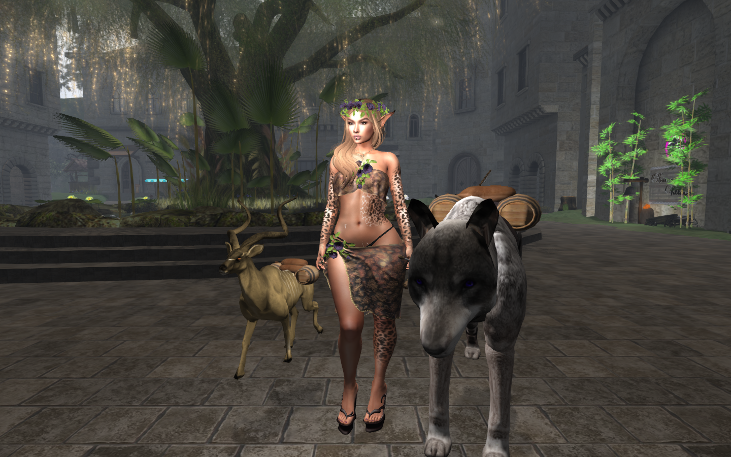 Original 5d87d967d774f851b2000001