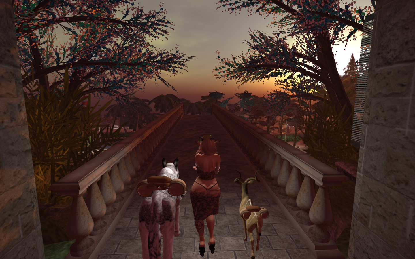 Original 5d87da7cd9859c3d64000001