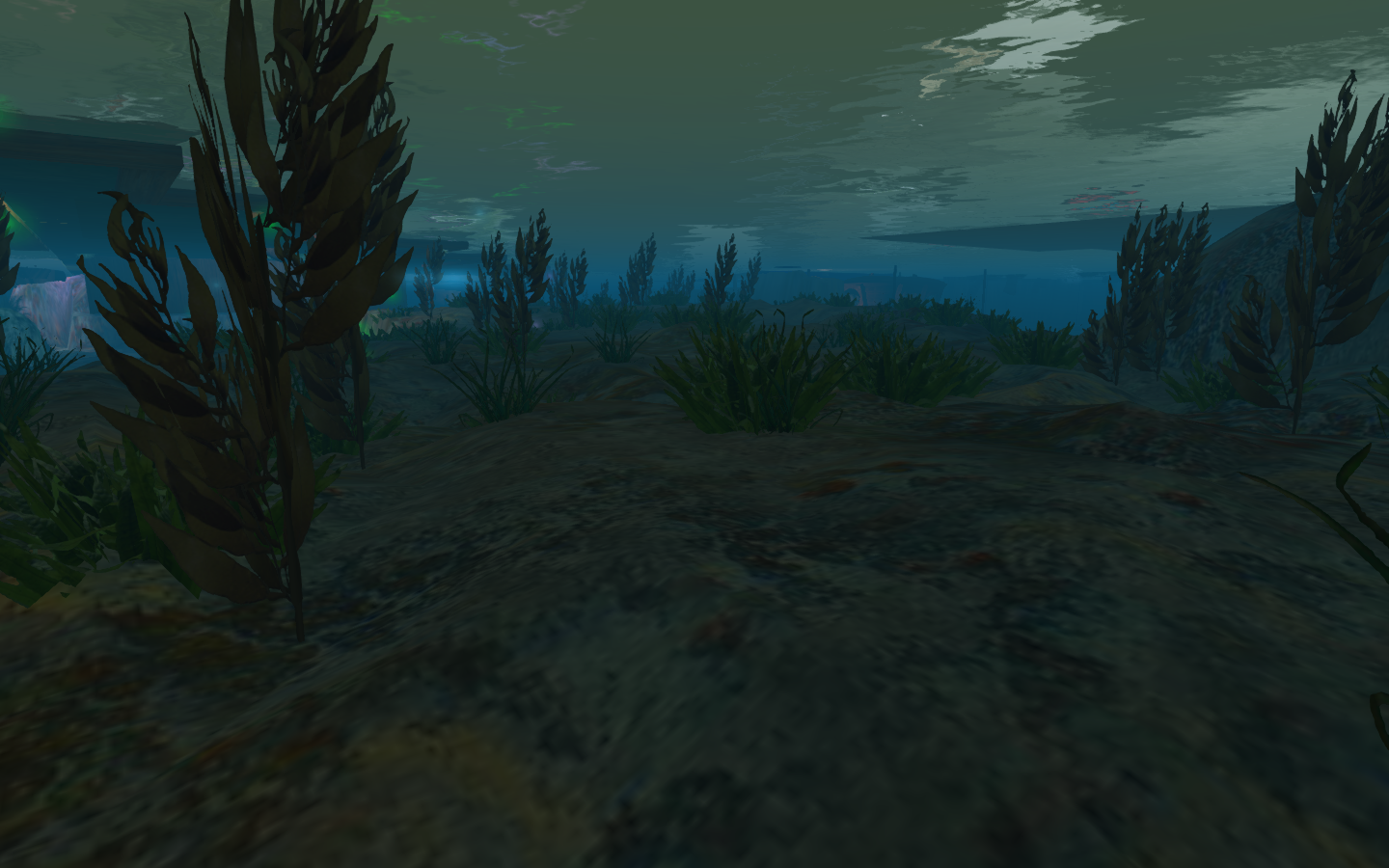 Original 5dc24031289dd25954000001