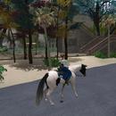 Thumb 5d9f7c17289dd21931000001