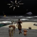 Thumb 5fc701c8c1eb0134440247bd