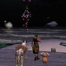 Thumb 5fc701dd50c35c373e8cc6cb