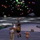 Thumb 5fc702193a5c363f2a8908d7