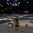 Thumb 5fc7023d2cb2a63703211d50