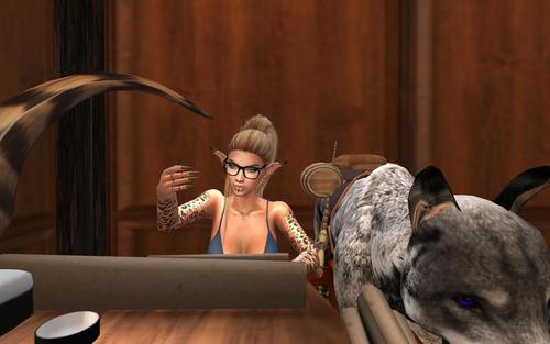 Web 5d50c77fd9859c4104000001