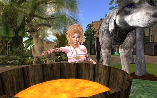 Web 5d5c5c0fd9859c4b29000001