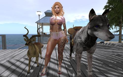 Web 5d5d435473ed173923000001