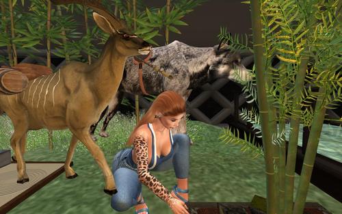 Web 5d701c2bd774f86c12000001