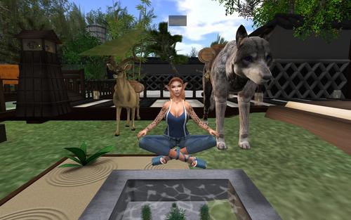 Web 5d701f3e73ed173f40000001