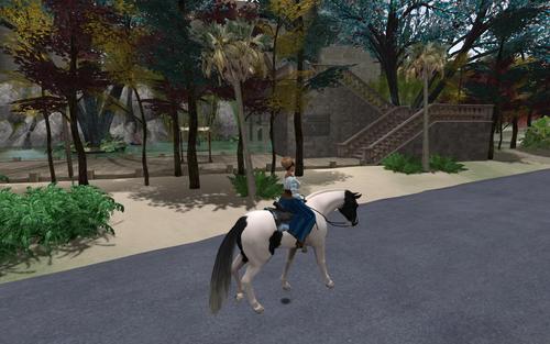 Web 5d9f7c17289dd21931000001