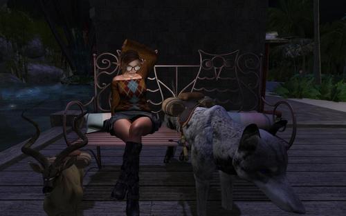 Web 5da90b81289dd26542000001