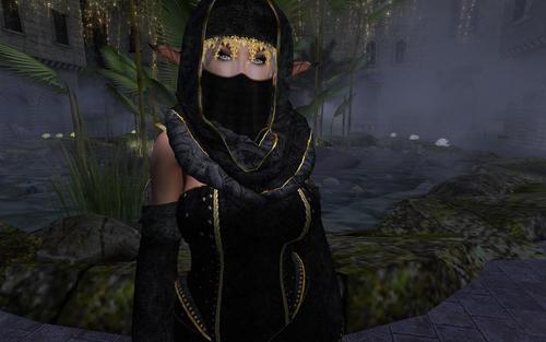 Web 5daa3223289dd24a1d000001