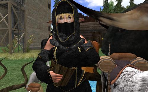 Web 5dab109d289dd24835000001