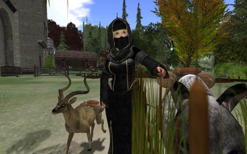 Web 5db44814d774f81d8e000001