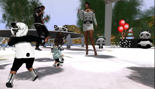 Web 531adc5da73e215578000001